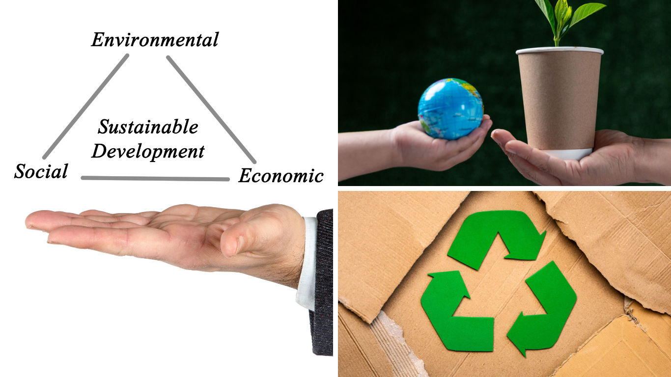 Hablemos sobre Sostenibilidad y su impacto en los negocios